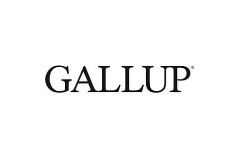 Cliente Gallup